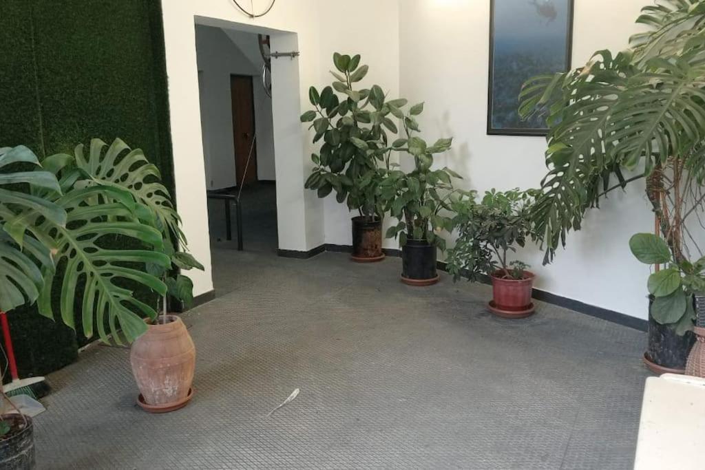 Apartament Pazari_Ri_Studio Tirana Zewnętrze zdjęcie